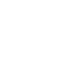 Patrol Icon